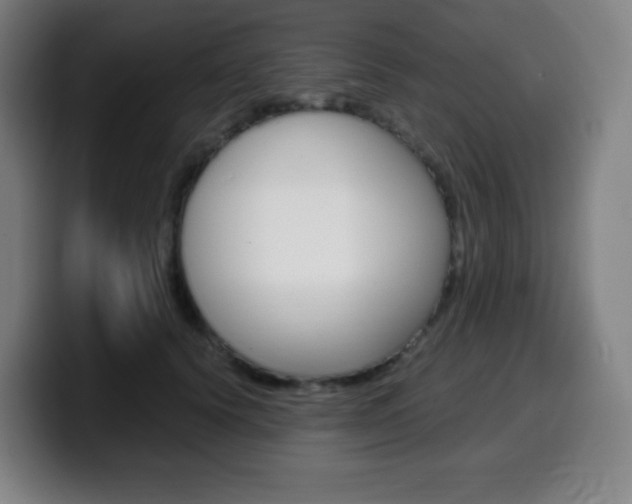 X0000099510656200805151012