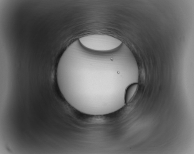 X0000099510668200805151012
