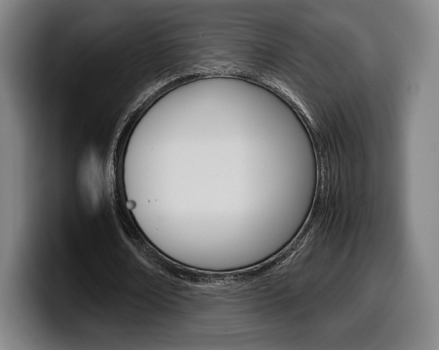 X0000099510674200805151011