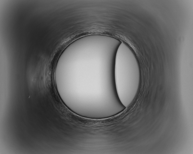 X0000099510675200805151011