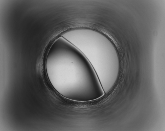 X0000099510677200805151011