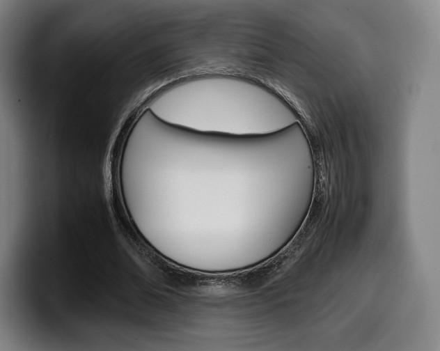 X0000099510678200805151011