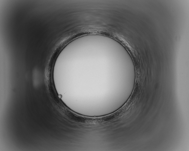 X0000099510679200805151011