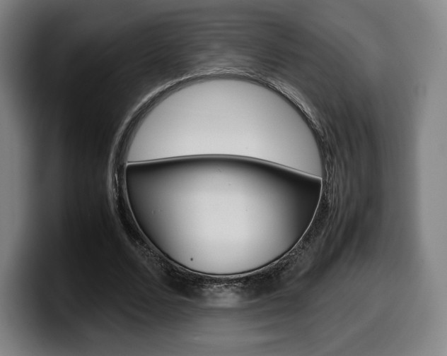 X0000099510680200805151011
