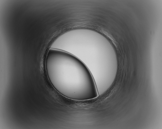 X0000099510681200805151011