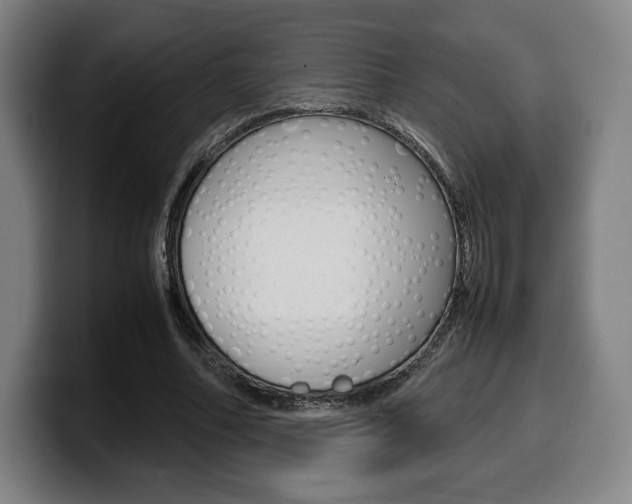 X0000099510682200805151011