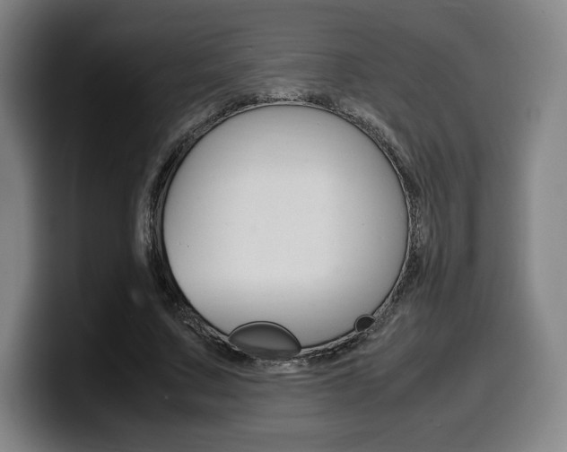 X0000099510683200805151011