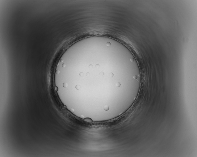 X0000099510686200805151011