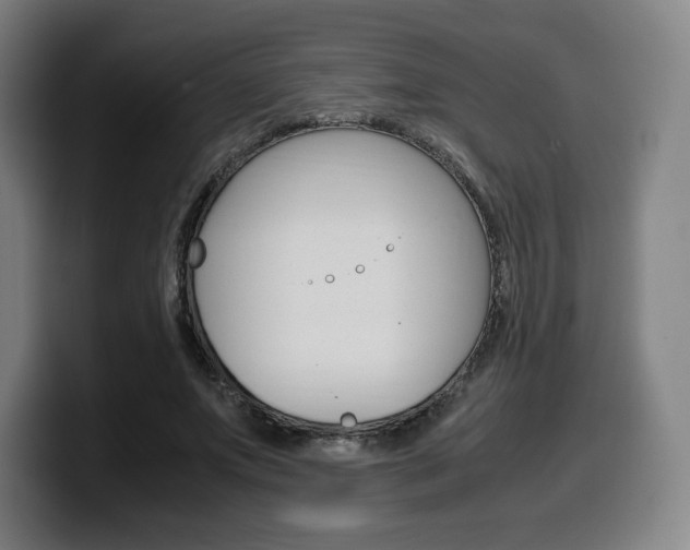 X0000099510687200805151011