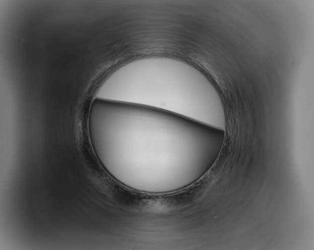 X0000099510688200805151011