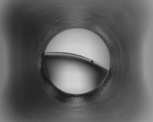 X0000099510689200805151011