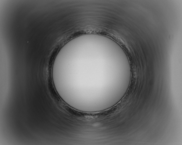 X0000099510690200805151011