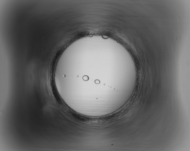 X0000099510691200805151011