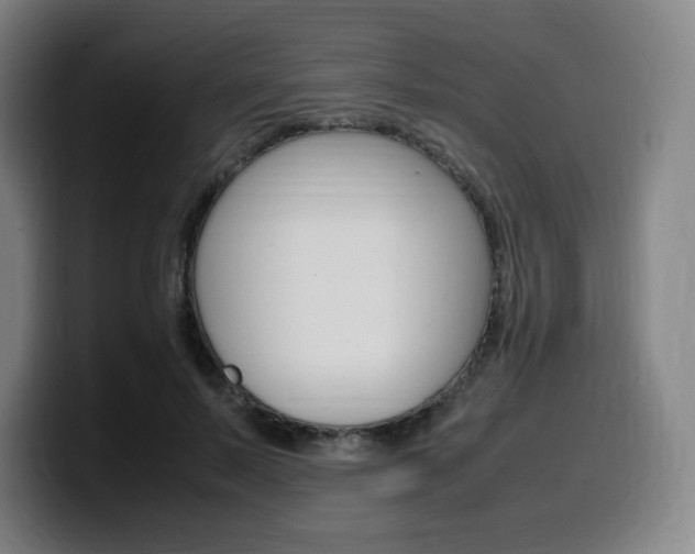 X0000099510695200805151011
