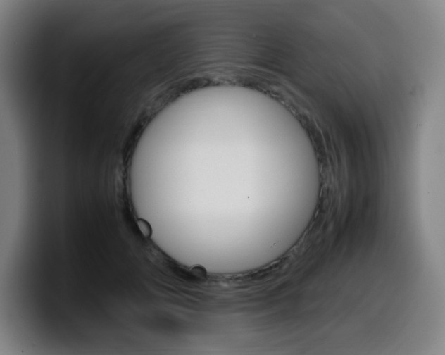 X0000099510702200805151011