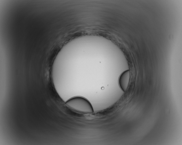 X0000099510703200805151011