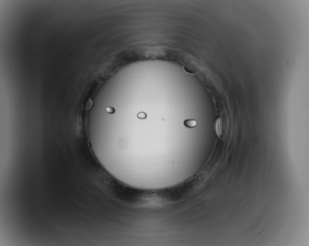 X0000099510704200805151011