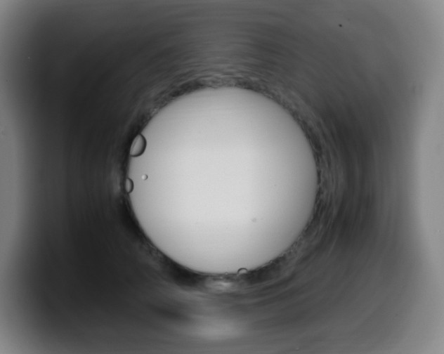 X0000099510706200805151011