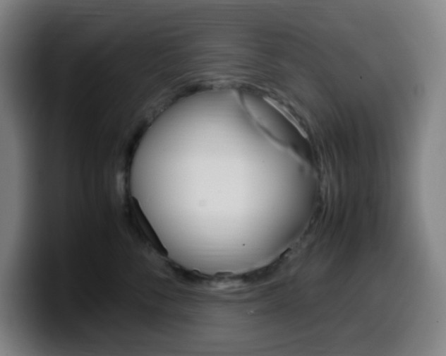X0000099510716200805151011