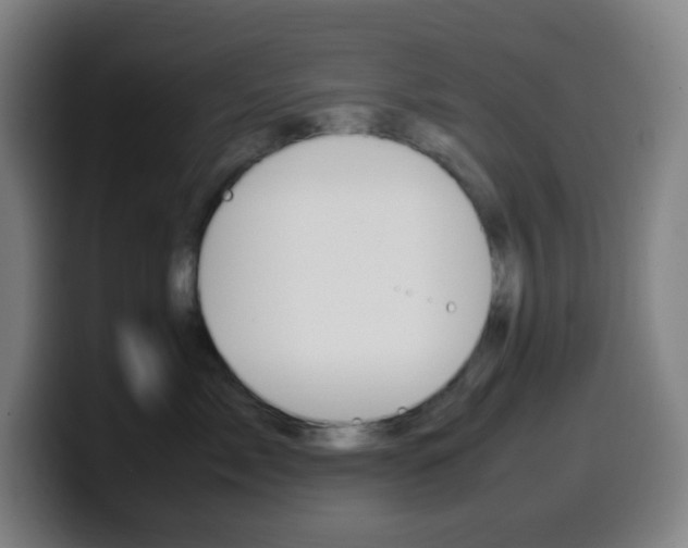 X0000099510717200805151011