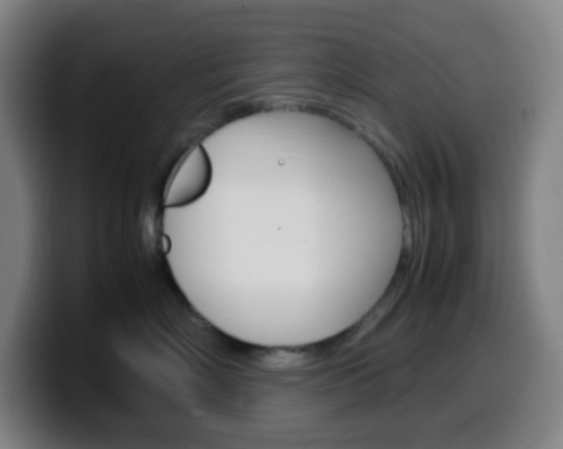 X0000099510718200805151011