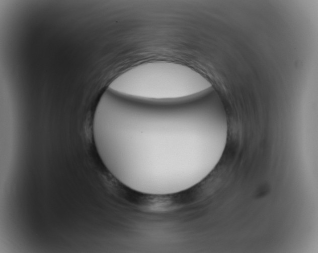 X0000099510719200805151011