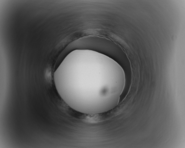 X0000099510720200805151011