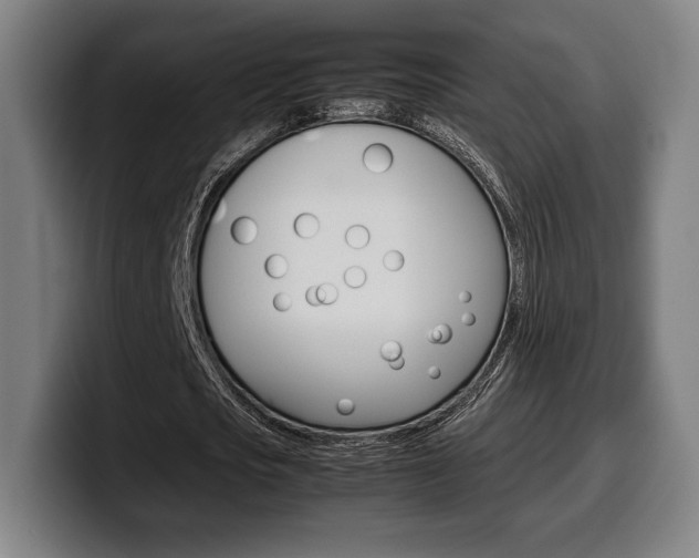 X0000099510721200805151010