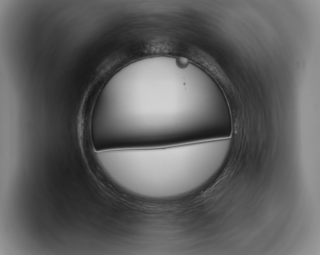 X0000099510722200805151010
