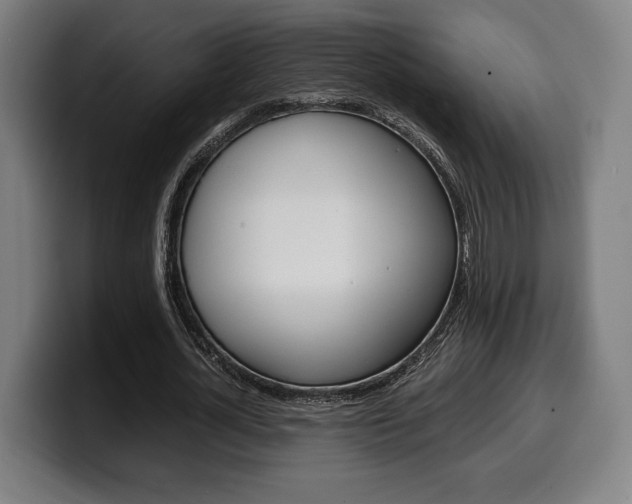 X0000099510724200805151010