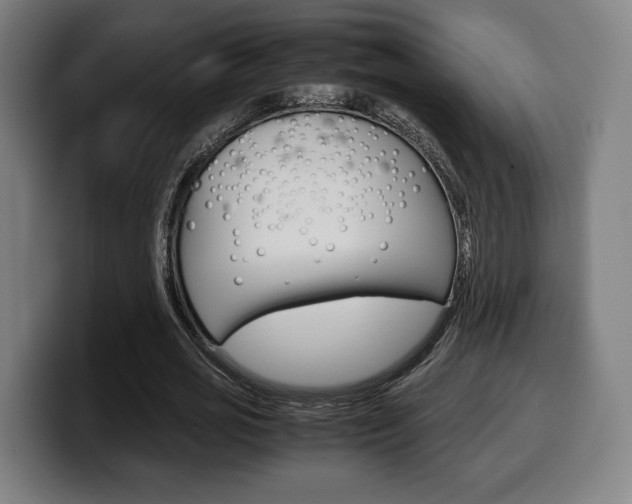 X0000099510725200805151010