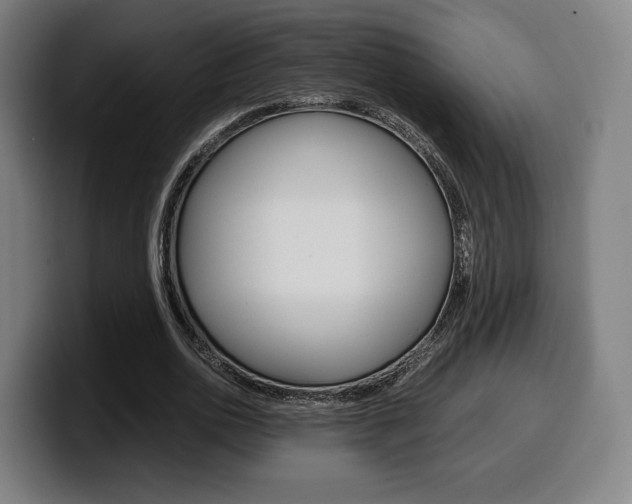 X0000099510726200805151010