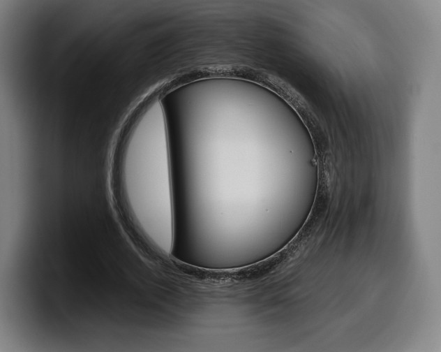 X0000099510728200805151010