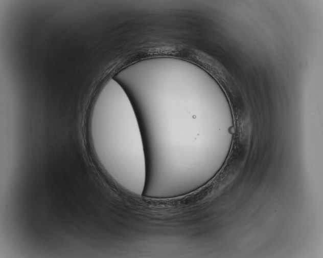 X0000099510729200805151010