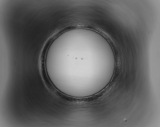 X0000099510730200805151010