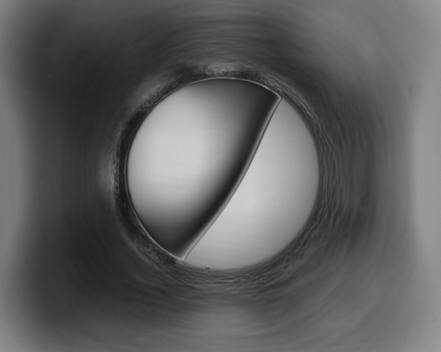 X0000099510732200805151010