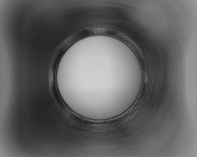 X0000099510733200805151010
