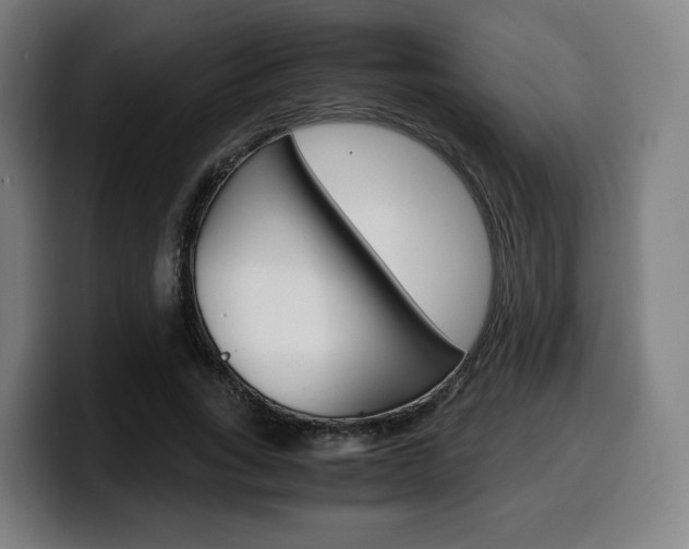 X0000099510735200805151010