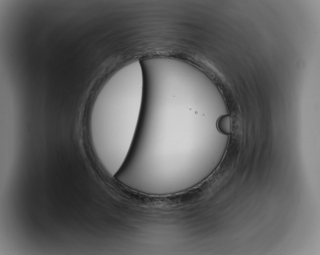 X0000099510738200805151010