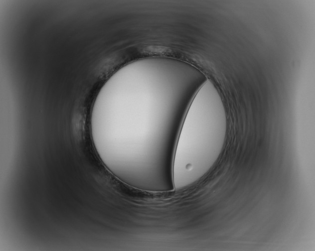 X0000099510739200805151010