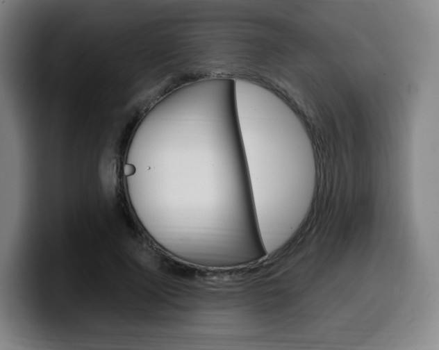 X0000099510740200805151010