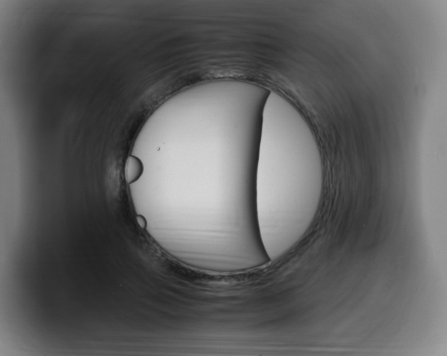X0000099510741200805151010