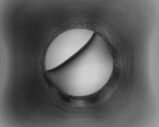 X0000099510743200805151010