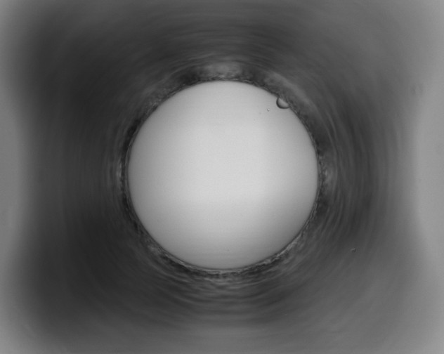 X0000099510745200805151010