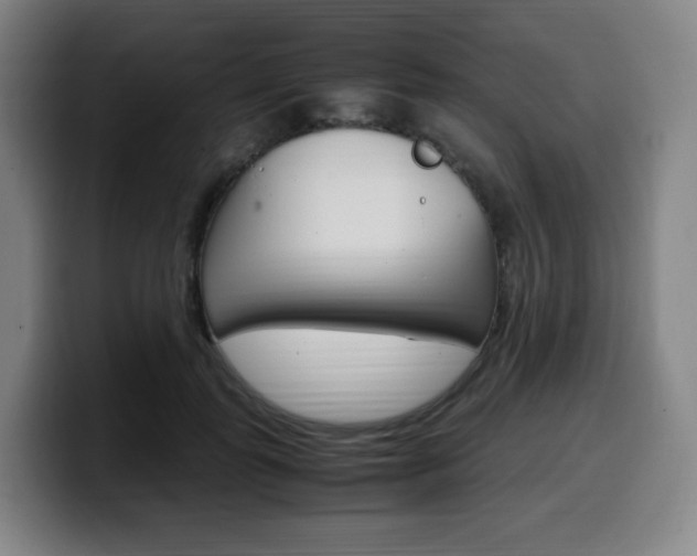X0000099510747200805151010