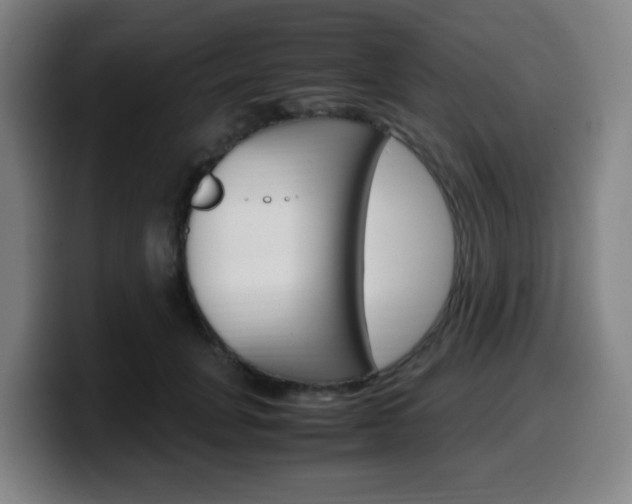 X0000099510751200805151010