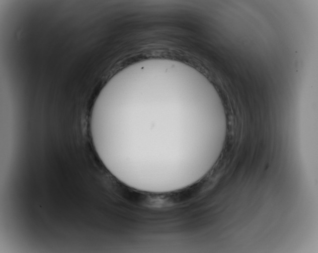 X0000099510753200805151010