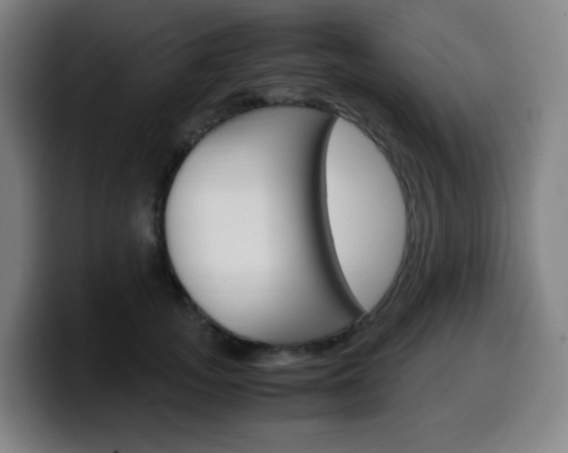 X0000099510755200805151010