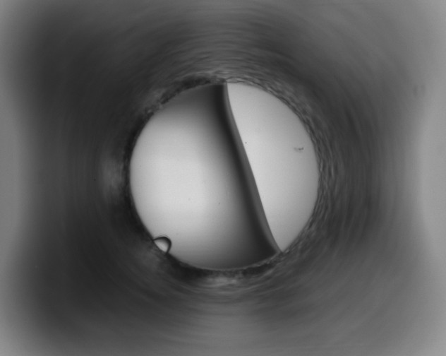X0000099510756200805151010