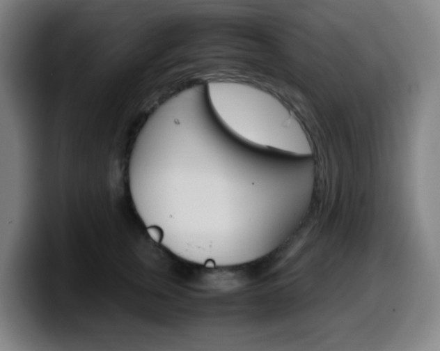 X0000099510759200805151011